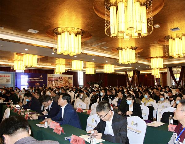 918.com(中国区)官方网站