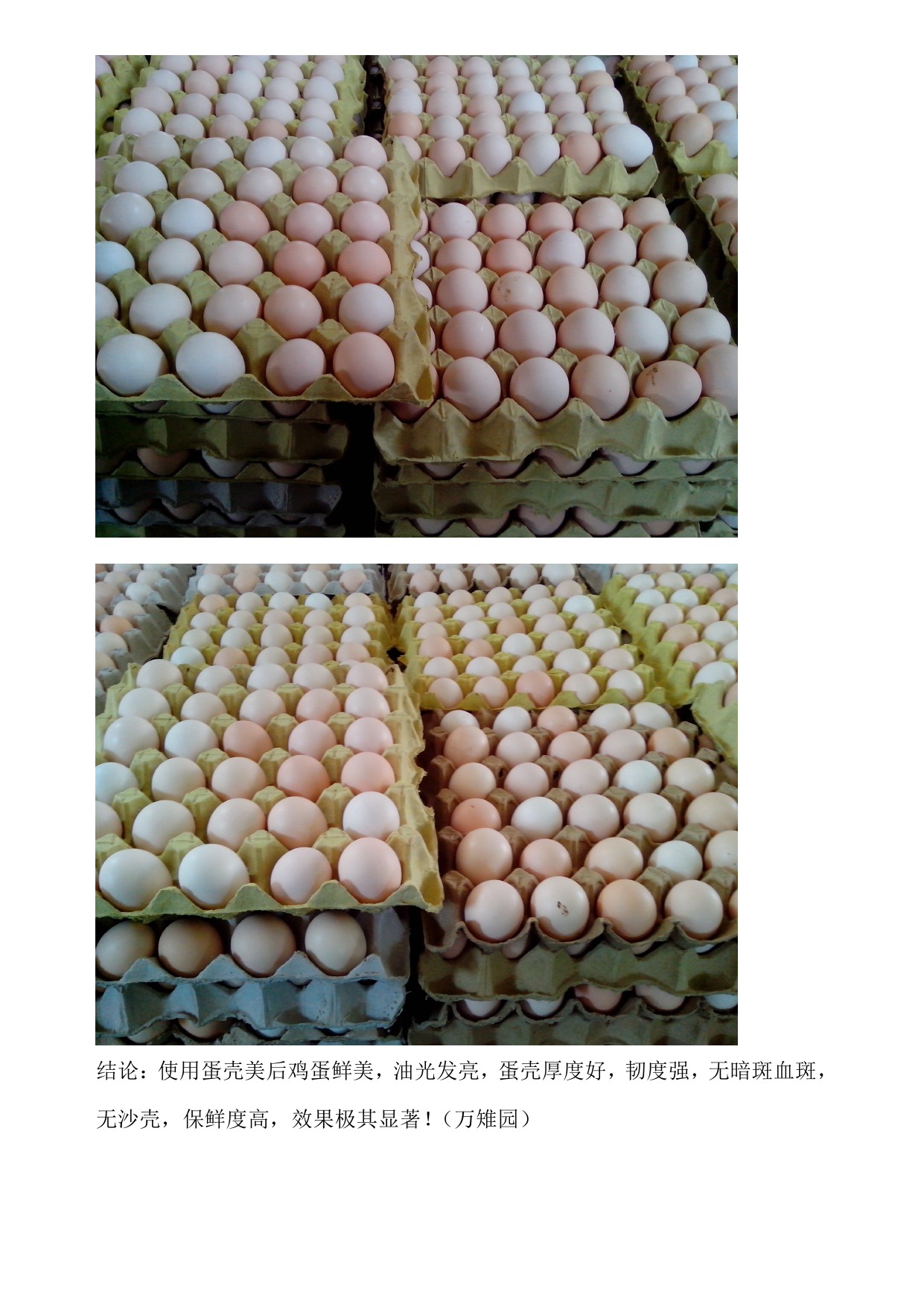 918.com(中国区)官方网站