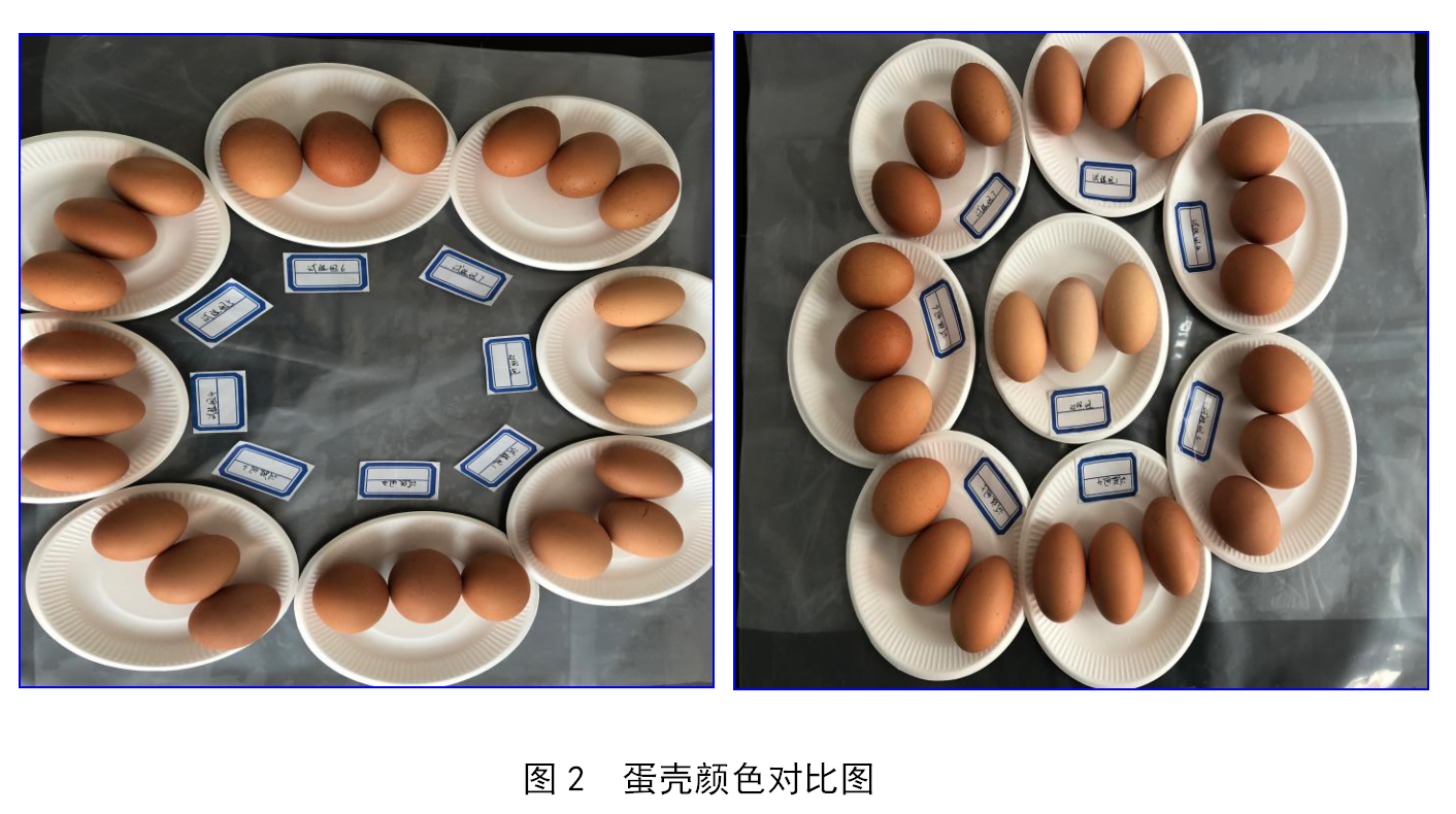 918.com(中国区)官方网站