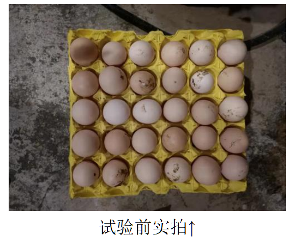 918.com(中国区)官方网站