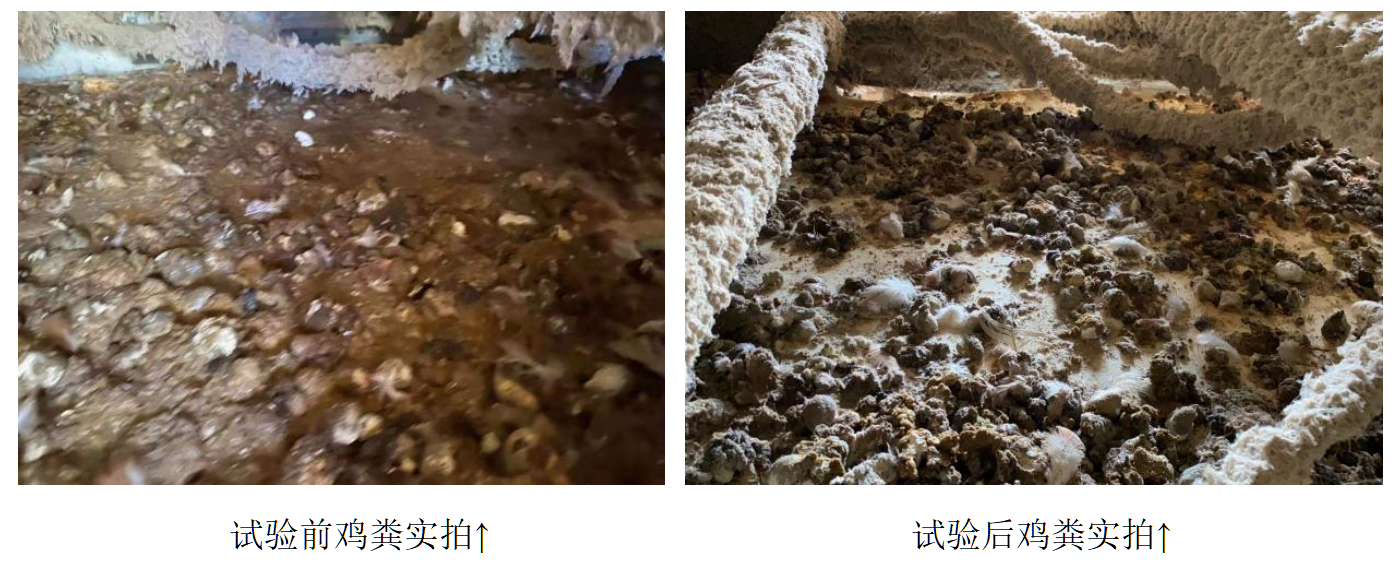 918.com(中国区)官方网站